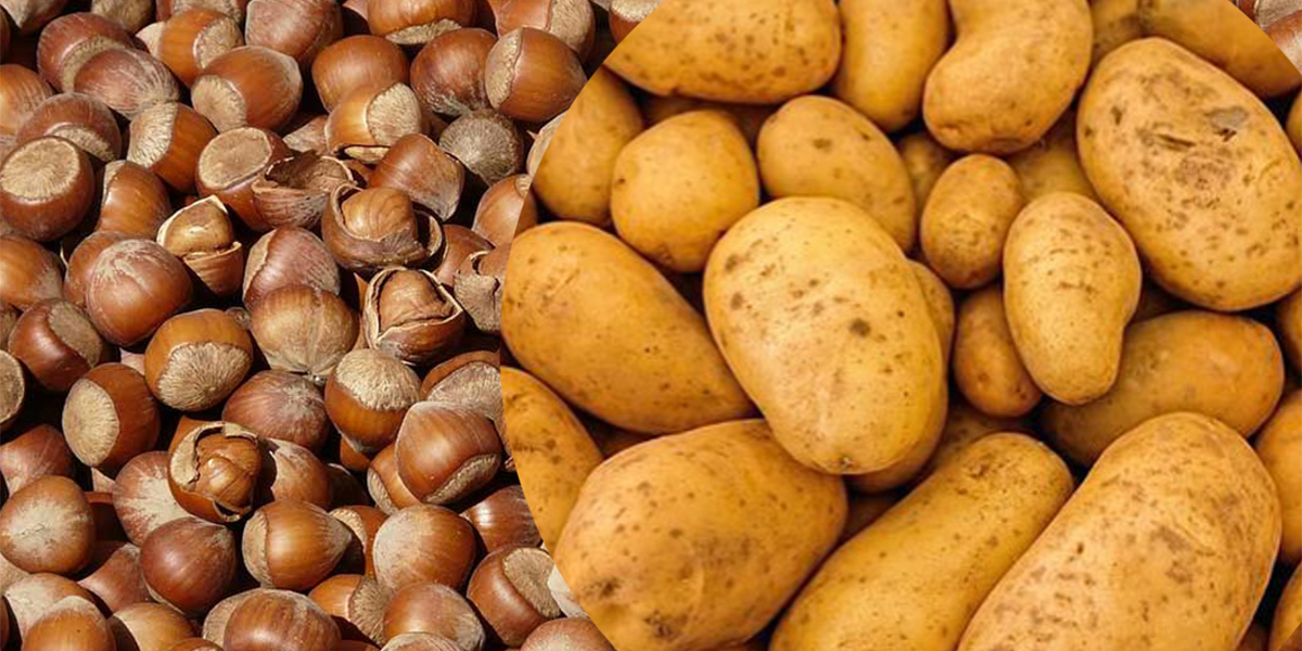 Nocciole alle stelle, patate in calo: due mercati agli opposti